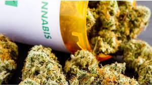 Principales disposiciones del “Anteproyecto de Reglamento en materia de Control Sanitario para la Producción, Investigación y Uso Medicinal de la Cannabis y sus derivados Farmacológicos”